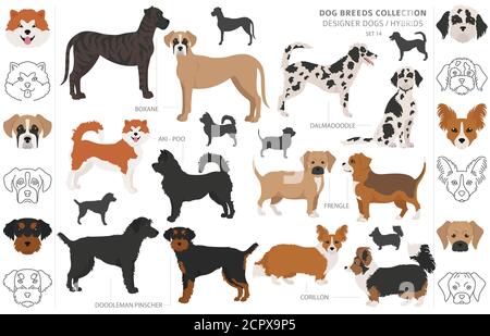 Designer Hunde, Enrage, hybrid mix Hündchen Sammlung isoliert auf Weiss. Flat Style cliparts Hund gesetzt. Vector Illustration Stock Vektor