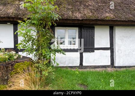 Traditionelles Fachwerkhaus mit Reetdach Stockfoto