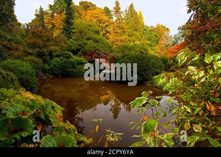 Schöne rote japanische Brücke mit Teich Reflexionen von üppigen umgeben Landschaft im Kubota Garden in Seattle Stockfoto