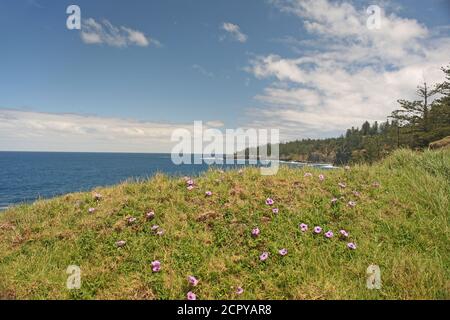 General Shots Von Norfolk Island, Australien Stockfoto