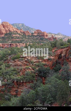 Rote Sandsteinhänge bedeckt mit immergrünen auf dem Devil's Bridge Trail in Sedona, Arizona, USA Stockfoto