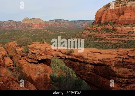 Ein Tal gefüllt mit immergrünen und rotem Sandstein mit weißen Kalksteinbergen im Hintergrund der Devil's Bridge in Sedona, Arizona, USA Stockfoto