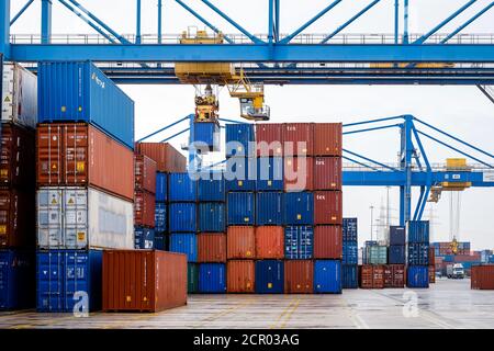 Container Terminal duisport Logport, Hafen Duisburg, Duisburg, Ruhrgebiet, Nordrhein-Westfalen, Deutschland, Europa Stockfoto