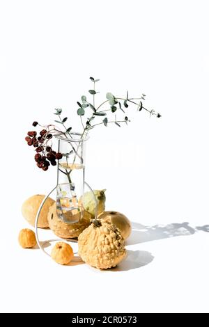 Herbst Saison Komposition mit gelben dekorativen Kürbissen, Kürbisse. Eukalyptusblätter in Glasvase. Herbst Dekorationen isoliert auf weißem Hintergrund Stockfoto