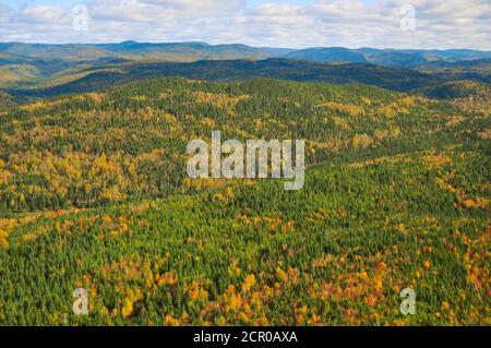 Herbstfarben Luftaufnahme, Kanada, Quebec, La Baie Stockfoto