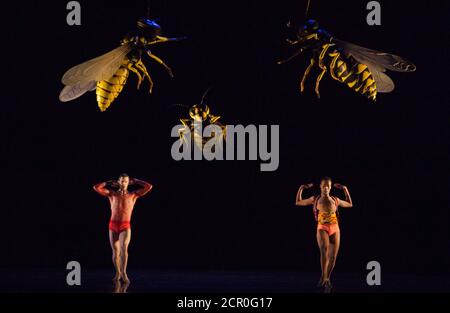 Rambert Dance Company - London Spring Season 2012. Performance von 'What Wild Ecstasy' choreografiert von Mark Baldwin, Design von Michael Howells. Tänzer: Jon Savage und Mbulelo Ndabeni. Sadler's Wells Theatre, London. Stockfoto