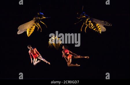 Rambert Dance Company - London Spring Season 2012. Performance von 'What Wild Ecstasy' choreografiert von Mark Baldwin, Design von Michael Howells. Tänzer: Jon Savage und Mbulelo Ndabeni. Sadler's Wells Theatre, London. Stockfoto