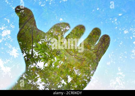 Naturkonzept, Ökologie der Umwelt, Hand und grüne Blätter Stockfoto