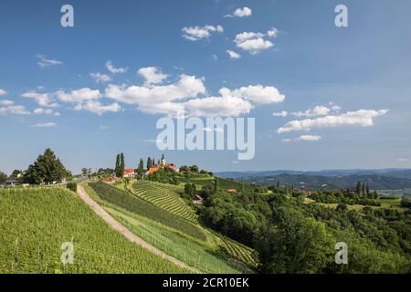 Sommer in Kitzeck im Sausal, Blick über die Weinberge zur Pfarrkirche, Leibnitz, Steiermark, Österreich Stockfoto