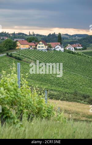 Landschaft an der südsteirischen Weinstraße, in der Nähe des Dorfes Ratsch an der Weinstraße, Kreis Leibnitz, Steiermark, Österreich Stockfoto