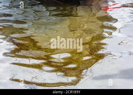 Ökologische Katastrophe. Verschüttetes Öl ins Meer. Giftige Ölprodukte schwimmen auf der Oberfläche des sauberen Meeres. Stockfoto