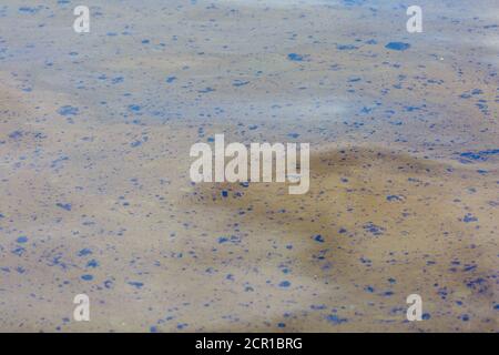 Ökologische Katastrophe. Verschüttetes Öl ins Meer. Giftige Ölprodukte schwimmen auf der Oberfläche des sauberen Meeres. Stockfoto