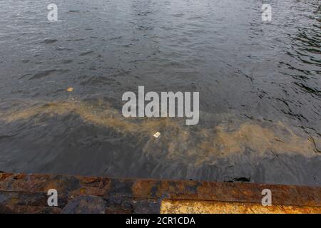 Ökologische Katastrophe. Verschüttetes Öl ins Meer. Giftige Ölprodukte schwimmen auf der Oberfläche des sauberen Meeres. Stockfoto