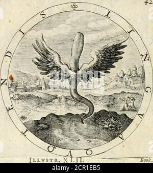 . Eine Sammlung von Emblemen, alte und moderne : quicked vvith metricall Illustrationen, sowohl Morall und göttliche : und in Lotterien, dass Unterricht und gute Beratung kann durch eine ehrliche und angenehme Erholung gefördert werden. Kein Herz kann tbinhitofi^hat flrmge endet-,TkeTongyits unruelyVioixorMends,. Stockfoto