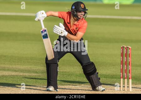 London, Großbritannien. 19 September, 2020. Xxxx als die South East Stars gegen die Southern Vipers im Rachael Heyhoe Flint Trophy Cricket-Spiel auf der Kia Oval. Das Spiel wurde aufgrund der Covid-19 Einschränkungen in einem leeren Stadion gespielt. David Rowe/Alamy Live News Stockfoto