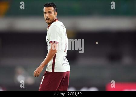 Parma, Italien. September 2020. Pedro während der Serie EIN Spiel zwischen Hellas Verona und Roma im Stadio Bentegodi, Verona, Italien am 19. September 2020. Foto von Simone Ferraro. Kredit: UK Sports Pics Ltd/Alamy Live Nachrichten Stockfoto