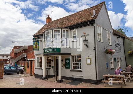 Das öffentliche Haus des Bushel Inn (Green King) in Newmarket, Suffolk, Großbritannien. Stockfoto