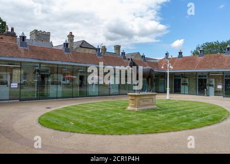 Statue des großen Frankel auf dem Gelände des National Heritage Centre for Horseracing & Sporting Art, Palace House, Newmarket, Suffolk, Großbritannien. Stockfoto