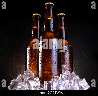 Kaltes Bier mit Wassertropfen, Bierflaschen mit Eiswürfeln Stockfoto