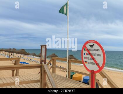 Kein Tierschild am Strandeingang in Faro, Portugal. Mehrsprachiges Zeichen; in Portugiesisch, Französisch, Englisch und Deutsch geschrieben. Stockfoto