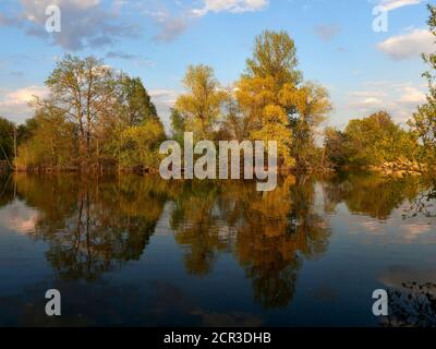 Auf dem Weg zwischen dem Vogelschutzgebiet NSG Garstadt und der Mainebne bei Hirschfeld und Heidenfeld im Landkreis Schweinfurt, Unterfranken, Stockfoto