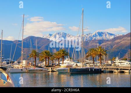 Schöne mediterrane Winterlandschaft. Jachthafen am Fuße der schneebedeckten Berge. Montenegro, Tivat Stadt. Blick auf den Jachthafen von Porto Monten Stockfoto