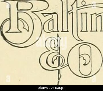 . Buch der Royal Blue . SAISON 1907 ATLANTICCITY Cape May, Sea Isle CityOcean City, N. J. Ocean City, Md.Rehoboth Beach, Dei. SONDERAUSFLÜGE VON DEN PUNKTEN EASTOF DER OHIO RIVER 27. Juni, 11. Und 25. Juli, 8. Und 22. August, 5. September American MedicalAssociation ATLANTIC CITY, N. J. 4.-7. Juni 1907 National EclecticMedical Association LOS ANGELES, CAL.18.-21. Juni 1907 Knights TemplarConclave SARATOGA SPRINGS, N.Y. 9.-13. Juli, 1907 für vollständige Informationen rufen Sie an oder Adresse TicketAgents BALTIMORE & OHIO R. R. JAMESTOWN TE,R=CENTE,NNIAL EXPOSITION NORFOLK, VA.April 26 bis 1. Dezember 1907 B. P. 0. Elche P Stockfoto