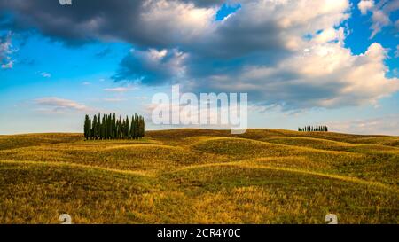 Europa, Italien, San Quirico, Toskana, Toskanische Landschaft, Cipressi di San Quirico d'Orcia, Provinz Siena, Stockfoto