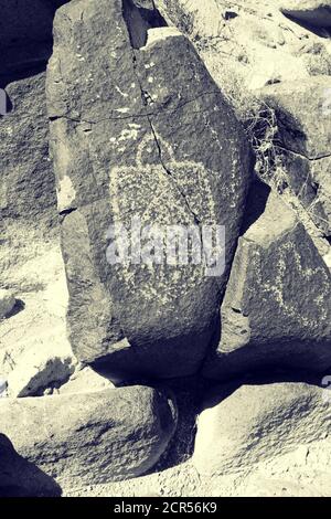 Three Rivers Petroglyph Site in New Mexico, prähistorische Jornada Mogollon Felskunst Stockfoto