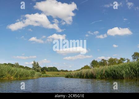 Deutschland, Mecklenburg-Vorpommern, Vorpommern, Recknitz, Landschaft, Flusslandschaft Stockfoto