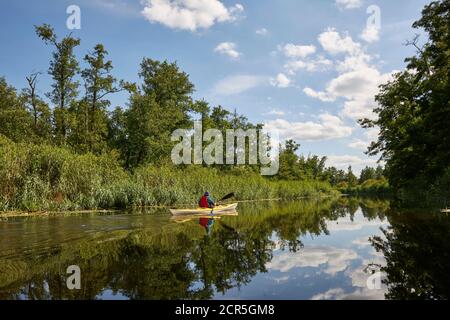 Deutschland, Mecklenburg-Vorpommern, Recknitz, Fluss, Kajak, Sommer Stockfoto