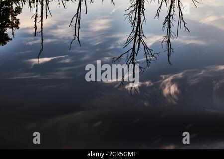 Deutschland, Mecklenburg-Vorpommern, Recknitz, Fluss, Spiegelung Stockfoto