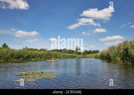 Deutschland, Mecklenburg-Vorpommern, Recknitz, Fluss, Kajak, Sommer Stockfoto