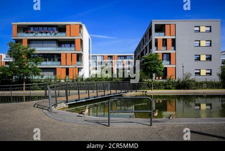 Essen, Nordrhein-Westfalen, Ruhrgebiet, Deutschland, Gruene Mitte Essen, Stadtentwicklungsprojekt im Universitätsviertel, in der Nordstadt Stockfoto