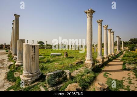 Famagusta, Türkische Republik Nordzypern, Zypern - Salamis, archäologische Ausgrabungsstätte, hier römische Säulen. Stockfoto