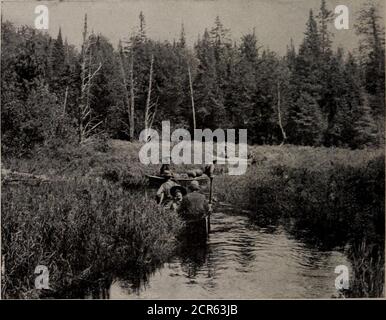 . Die Spielplätze von Kanada; eine kurze Abhandlung über Touristen-, Angel- und Jagdgebiete erreicht durch die Grand Trunk Railway System . nce von Ontario auf einer ebenso großen Höhe wie dieses Gebiet. Jüngste Beobachtungen givethe Höhe über dem Meeresspiegel als 1,600 Fuß, Während es viele Pointson der Gipfel der Ufer der Seen erreichen über 2,000 Fuß, dies ist die höchste Sommerresort in Ost-Kanada. Die Atmosphäre ist rein und erheiternd und ein paar Tage sojournunder seinem Einfluss verjüngt man und belebt eine Run-Downkonstitution. Camp Nominigan. – das neue Camp Hotel in Stockfoto