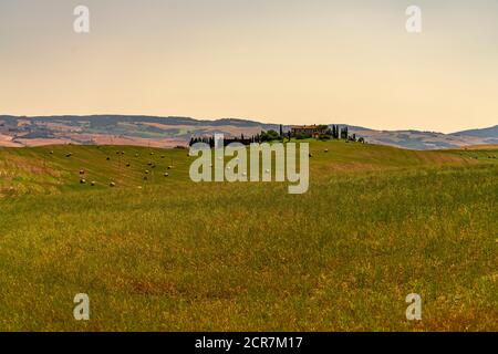 Europa, Italien, Agriturismo Covili, Bauernhaus Poggio Covili, Zypressenallee, Toskana, Toskanische Landschaft, Provinz Siena,Castiglione D'orcia, Stockfoto