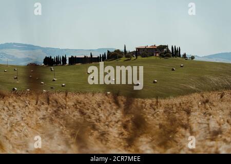 Europa, Italien, Agriturismo Covili, Bauernhaus Poggio Covili, Zypressenallee, Toskana, Toskanische Landschaft, Provinz Siena,Castiglione D'orcia, Stockfoto