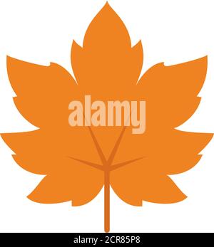 Ahornblatt-Symbol auf weißem Hintergrund, flacher Stil, Vektorgrafik Stock Vektor