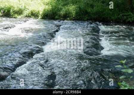 Rheinsberger Rhin, Wildwasserstrom Stockfoto