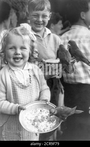 Ein junger Australier, der seine Babyfrontzähne vermisst, und seine jüngere Schwester lächeln 1966 im Currumbin Wildlife Sanctuary in Queensland für die Kamera, während sie die lokalen Lorikeet-Vögel (Trichoglossus moluccanus), eine Art australischer Papagei, füttern. Stockfoto