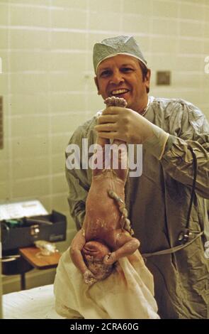 Ein Arzt hält ein Neugeborenes Baby bald nach der Kaiserschnitt in Union Hospital in New Ulm, Minnesota Ca. 1975 Stockfoto