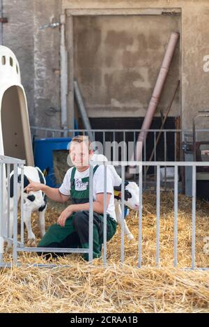 Bauer, Bauer, streichelt ein Kalb Stockfoto