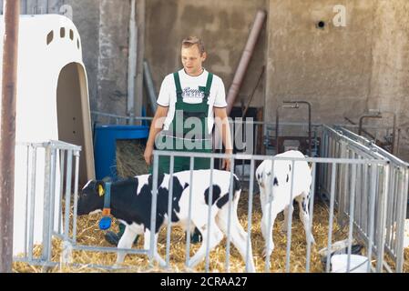 Bauer, Bauer, steht in einer Wadenkiste Stockfoto