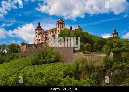 Blick auf die Festung Marienberg in Würzburg von der Alten Mainbrücke, Unterfranken, Franken, Bayern, Deutschland Stockfoto