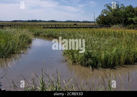 Ein Blick aus dem St. Jones Reserve, einem Salzwasser-Sumpfgebiet in der Nähe von Dover, Delaware. Stockfoto