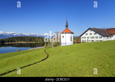 Hegratsrieder Kapelle vor dem Panorama der Allgäuer Alpen bei Halch, Ostallgäu, Allgäu, Schwaben, Bayern, Süddeutschland, Deutschland, Europa Stockfoto