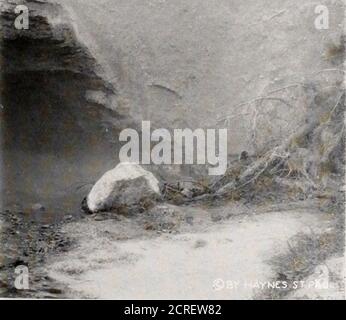 . Yellowstone Park über Gardiner Gateway . GOTISCHE GROTTE ODER GRÜNER GIEBEL FRÜHLING 37 38 Stockfoto