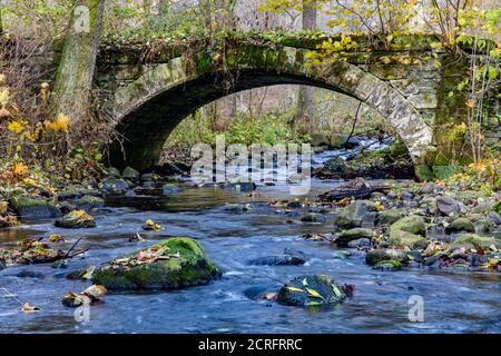 Eine Wasserfallkaskade im Bach, die unter einer alten Steinbrücke im Herbstwald fließt. Stockfoto