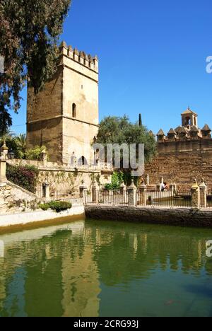 Wassergärten im Palast Festung der christlichen Könige (Alcazar de los Reyes Cristianos) mit der Burg auf der Rückseite, Cordoba, Spanien. Stockfoto